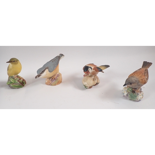 50 - A collection of ten Royal Worcester birds including Robin, Bullfinch, Nuthatch etc.