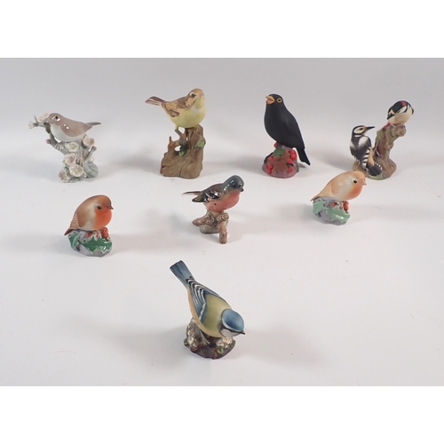 Lot 53        