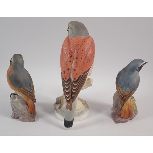58 - A Royal Worcester 'Kek' the Kestrel bird modelled by James Alder plus two Redstarts, one with beak r... 