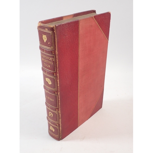 Lot 631       