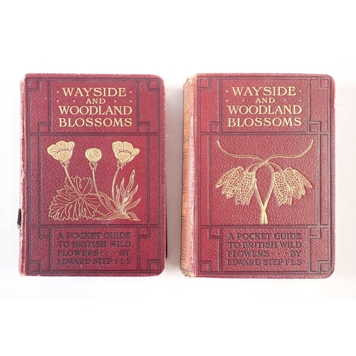 640 - A Wayside and Woodland Blossoms series I & II 1903 by Edward Step