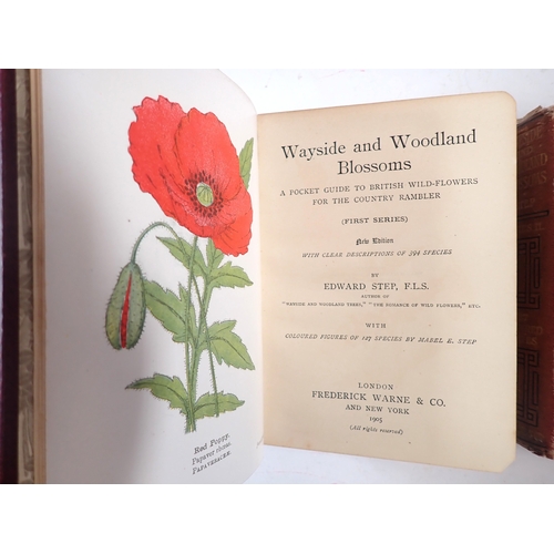 640 - A Wayside and Woodland Blossoms series I & II 1903 by Edward Step