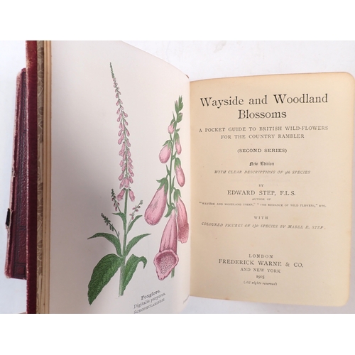 640 - A Wayside and Woodland Blossoms series I & II 1903 by Edward Step