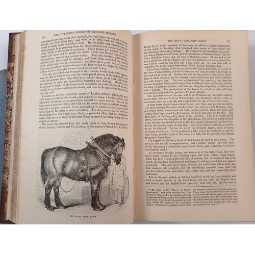 646 - The Horse with a Treatise of Draught by William Youatt 1843 plus people with Long Ears A Practical G... 