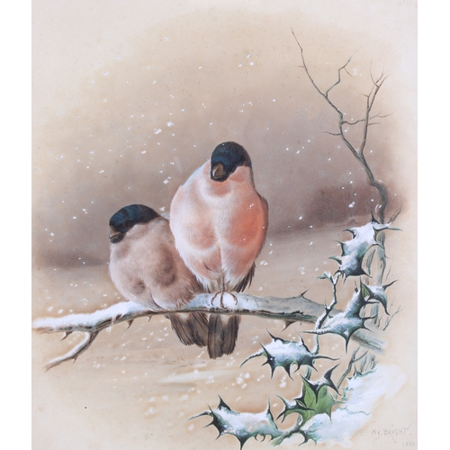 304 - Harry Y Bright (1846-1895), two watercolours heightened with white, depicting birds. 'Ragged Robbin'... 