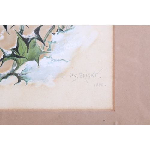 304 - Harry Y Bright (1846-1895), two watercolours heightened with white, depicting birds. 'Ragged Robbin'... 