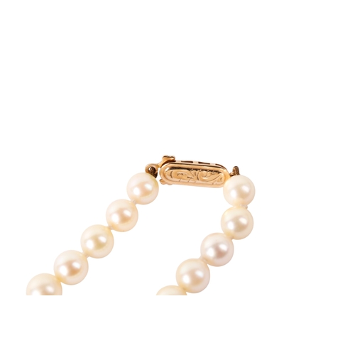 253 - A cultured pearl necklace. With a hallmarked 9ct gold clasp, the pearls circa 6mm-6.5mm diameter, to... 