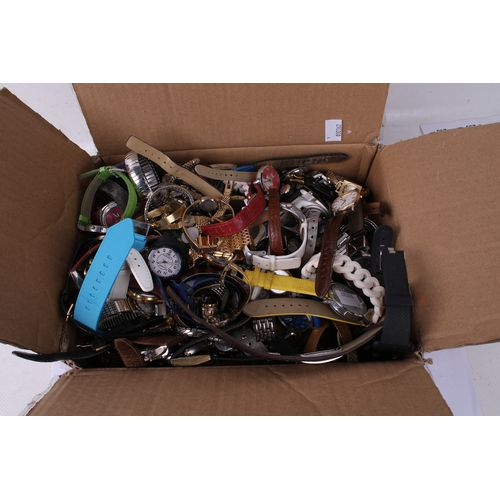 Lot 428       