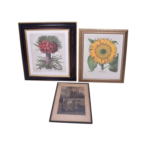 607 - Three assorted prints. Including a 'sunflower' and a signed etching of Notre Dame cathedral, all fra... 