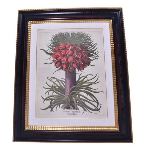 607 - Three assorted prints. Including a 'sunflower' and a signed etching of Notre Dame cathedral, all fra... 