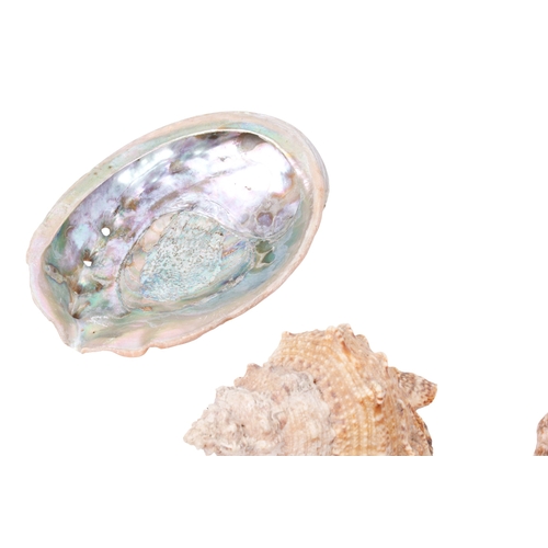 364 - A collection of Victorian Crown Devon blush ivory ceramic items. Including a pair of vases, an ewer,... 