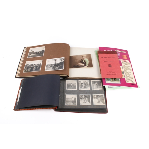 Lot 264       