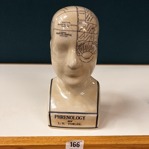 166 - Porcelain phrenology bust