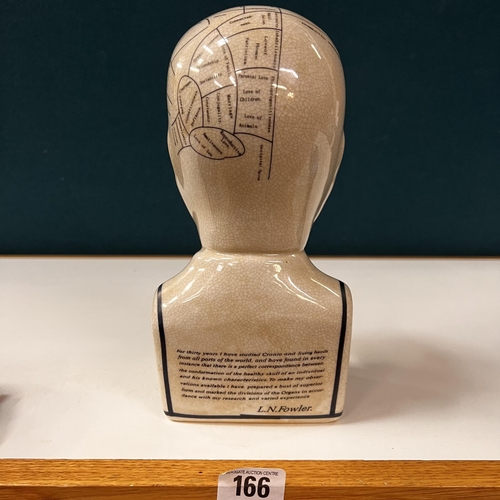 166 - Porcelain phrenology bust