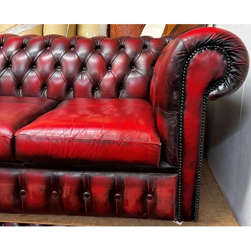 13 - Three seater Chesterfield settee in ox blood red leather