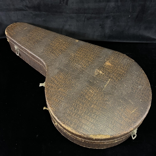 167 - Windsor Banjo Mandolin Model 1 Patent no 308900 in original crocodile pattern  case in fantastic con... 