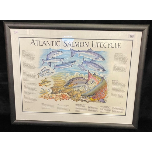 208 - ATLANTIC SALMON LIFECYCLE IN WOODEN FRAME