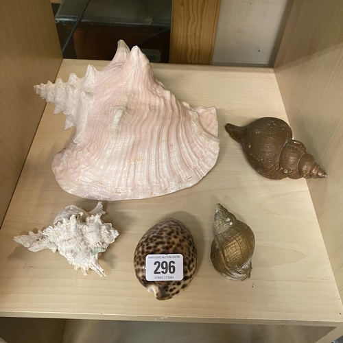 296 - FIVE SEA SHELLS