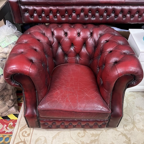 39 - THREE SEATER OXBLOOD CHESTERFIELD SETTEE WITH MATCHING ARMCHAIR