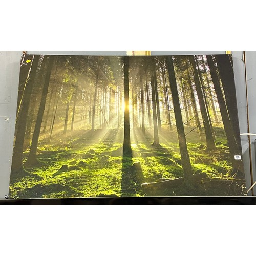 150 - LARGE WOODLAND SCENE ON CANVAS