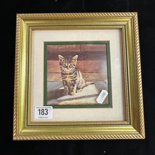 183 - “KITTEN IN THE LIGHT “ BY WENDY STEVENSON