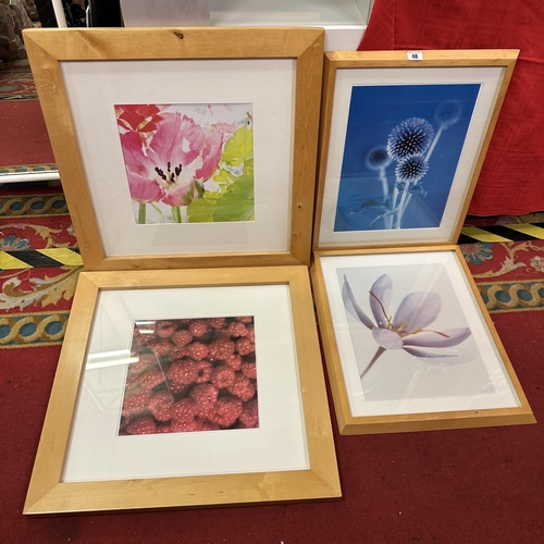 48 - SELECTION OF STILL LIFE PRINTS