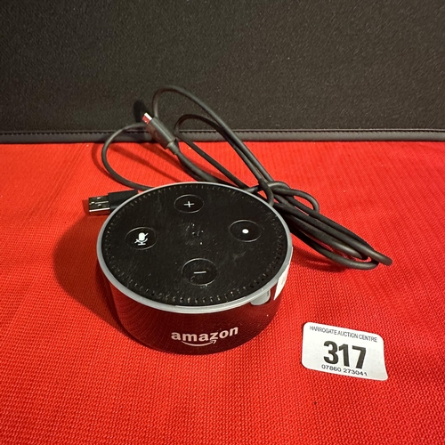 317 - AMAZON ECHO