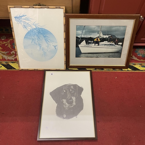 46 - THREE FRAMED PICTURES