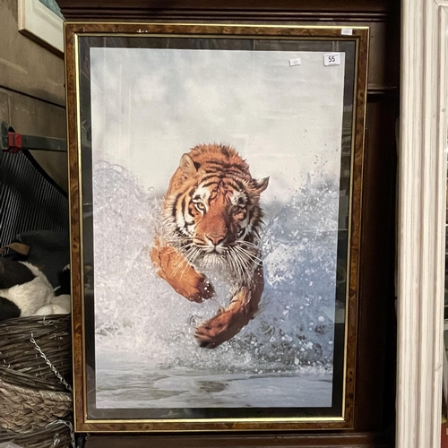 Lot 55        