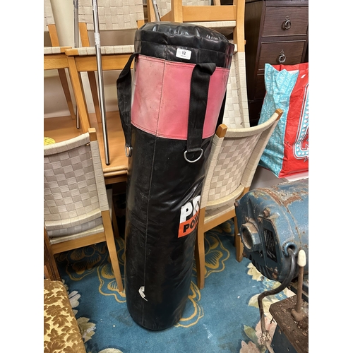 12 - PRO POWER PUNCHBAG