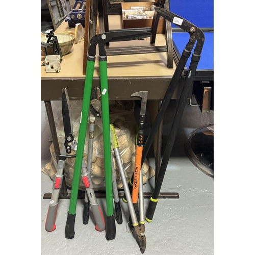 255 - SELECTION OF GARDEN TOOLS