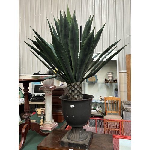 Lot 56        