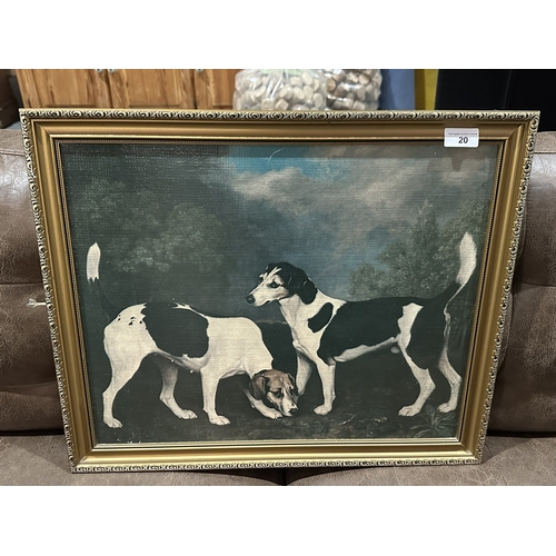 Lot 20        