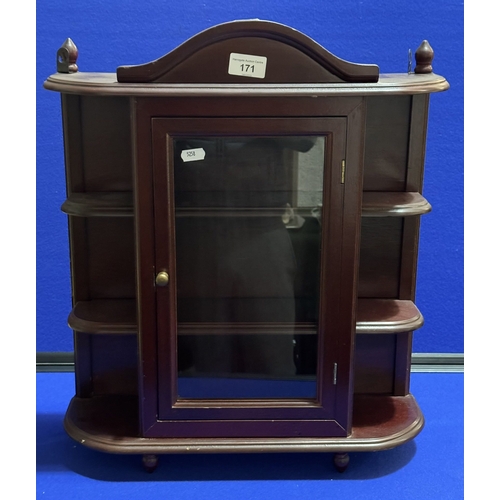 171 - MAHOGANY WALL MOUNTED MINIATURE DISPLAY CABINET