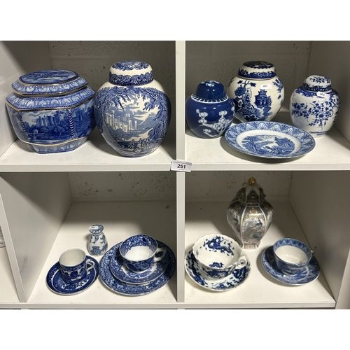 251 - FOUR SHELVES OF BLUE AND WHITE CERAMICS INCLUDING RINGTONS AND WILLOW PATTERN