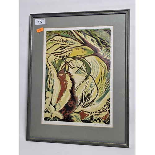 173 - FRAMED LIMITED EDITION  9/12 ABSTRACT PRINT BY LIZ CROWN DATED 1994