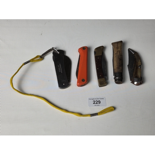 Lot 229       