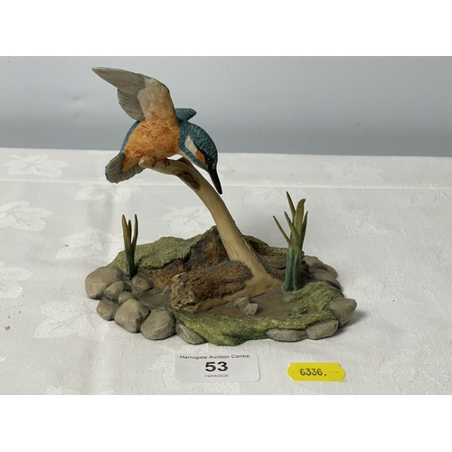 53 - BOARDER FINE ARTS KINGFISHER FIGURINE