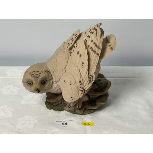 54 - AYNSLEY MASTER CRAFT HAND PAINTED OWL