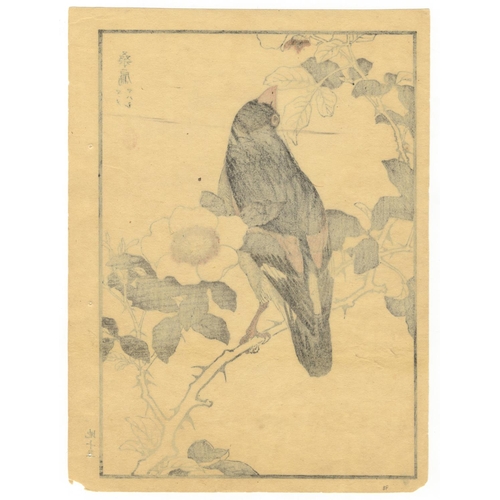 27 - Bairei Kono, Bird and Flower, Japanese FinchMame-mawashi, Japanese Finch. Original Japanese Woodbloc... 