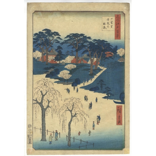 Lot 247       