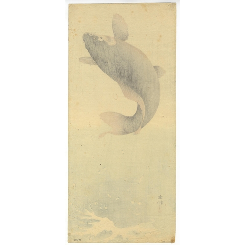 75 - Artist: Koson Ohara (1877-1945)
Title: Leaping Carp
Publisher: Daikokuya
Date: c.1900-1910s
Size: 36... 