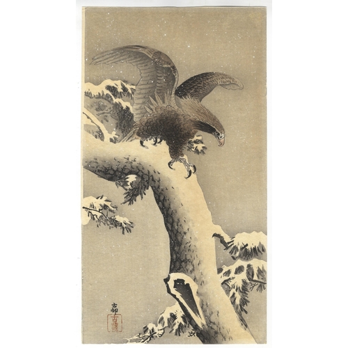 76 - Artist: Koson Ohara (1877-1945)
Title: White-tailed Eagle on Snowy Pine Branch
Publisher: Daikokuya
... 