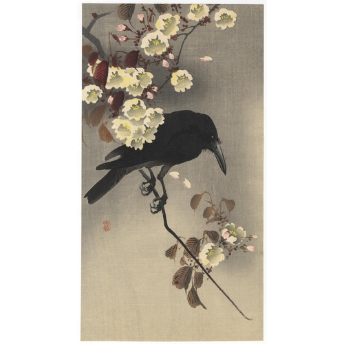 77 - Artist: Koson Ohara (1877-1945)
Title: Crow on Cherry Branch
Publisher: Daikokuya
Date: c.1900-1910s... 