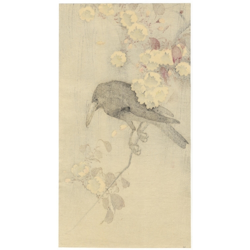 77 - Artist: Koson Ohara (1877-1945)
Title: Crow on Cherry Branch
Publisher: Daikokuya
Date: c.1900-1910s... 