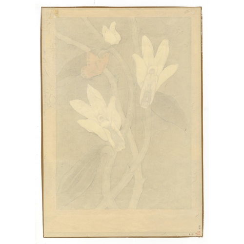 192 - Artist: Mokuchu Urushibara (1888-1953)
Title: Orchid 1
Date: early 20th century
Size: 25.6 x 36.5 cm... 