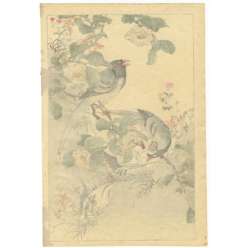 195 - Artist: Bairei Kono (1844-1895)
Title: Two Magpies on a Camellia Branch
Series: Bairei’s Album of Bi... 