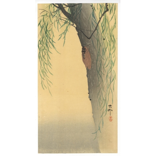 201 - Artist: Koson Ohara (1877-1945)
Title: Large Brown Cicada on Willow Branch
Publisher: Daikokuya
Date... 