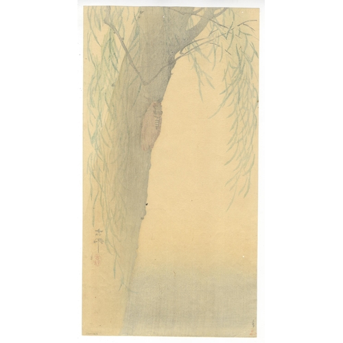 201 - Artist: Koson Ohara (1877-1945)
Title: Large Brown Cicada on Willow Branch
Publisher: Daikokuya
Date... 