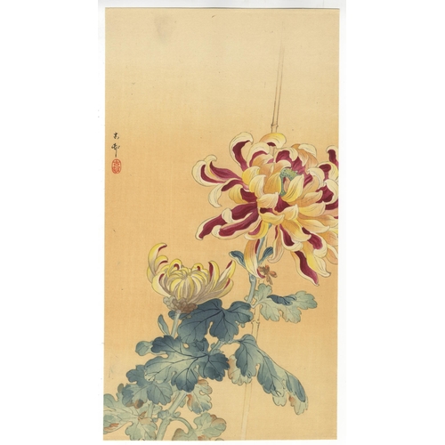 203 - Artist: Koson Ohara (1877-1945)
Title: Chrysanthemum Flowers
Publisher: Daikokuya
Date: c.1900-1910s... 